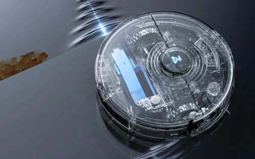 駛向全球,石頭科技 自定義