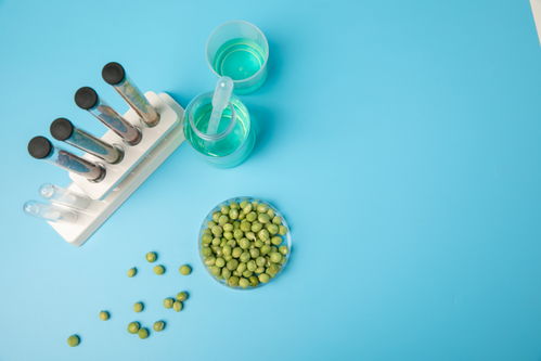 嫩豌豆食品安全農(nóng)業(yè)科技食品培育攝影圖 插畫 下載至來源處